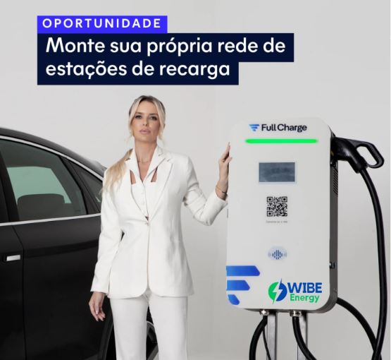 Wibe2.JPG